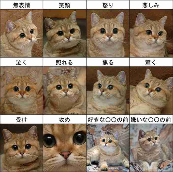 最近笑ってない人。