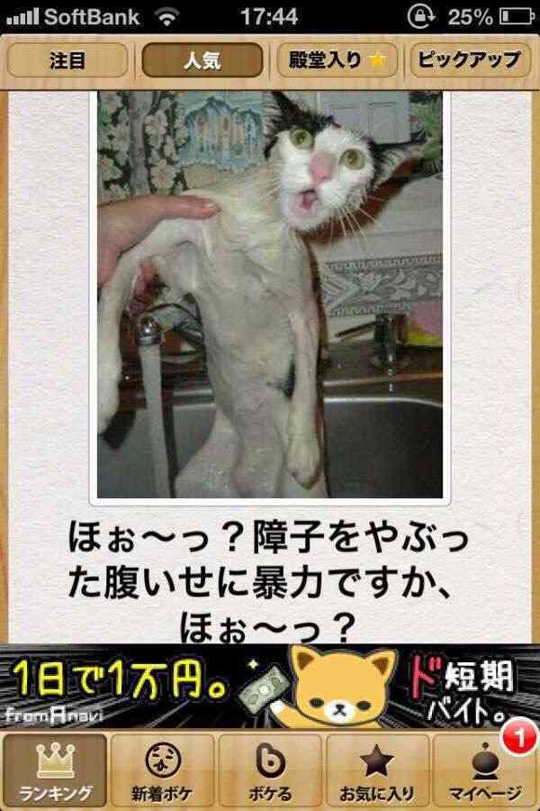 最近笑ってない人。
