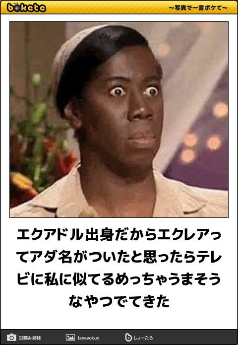 「ちょ、ちょっと休んでるだけなんだってば！」高速道路横のガードレールにしがみついたまま離れないナマケモノが連行される（エクアドル）