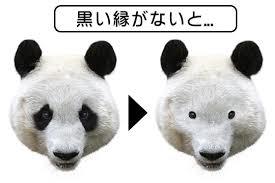 パンダの画像を集めるトピ