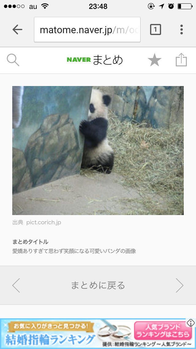 パンダの画像を集めるトピ