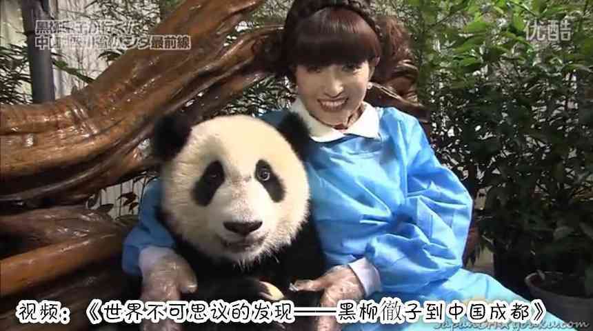 パンダの画像を集めるトピ
