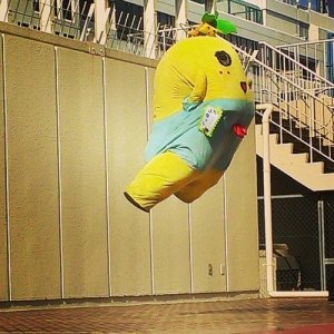 色々なものが飛んでる画像を貼るトピ