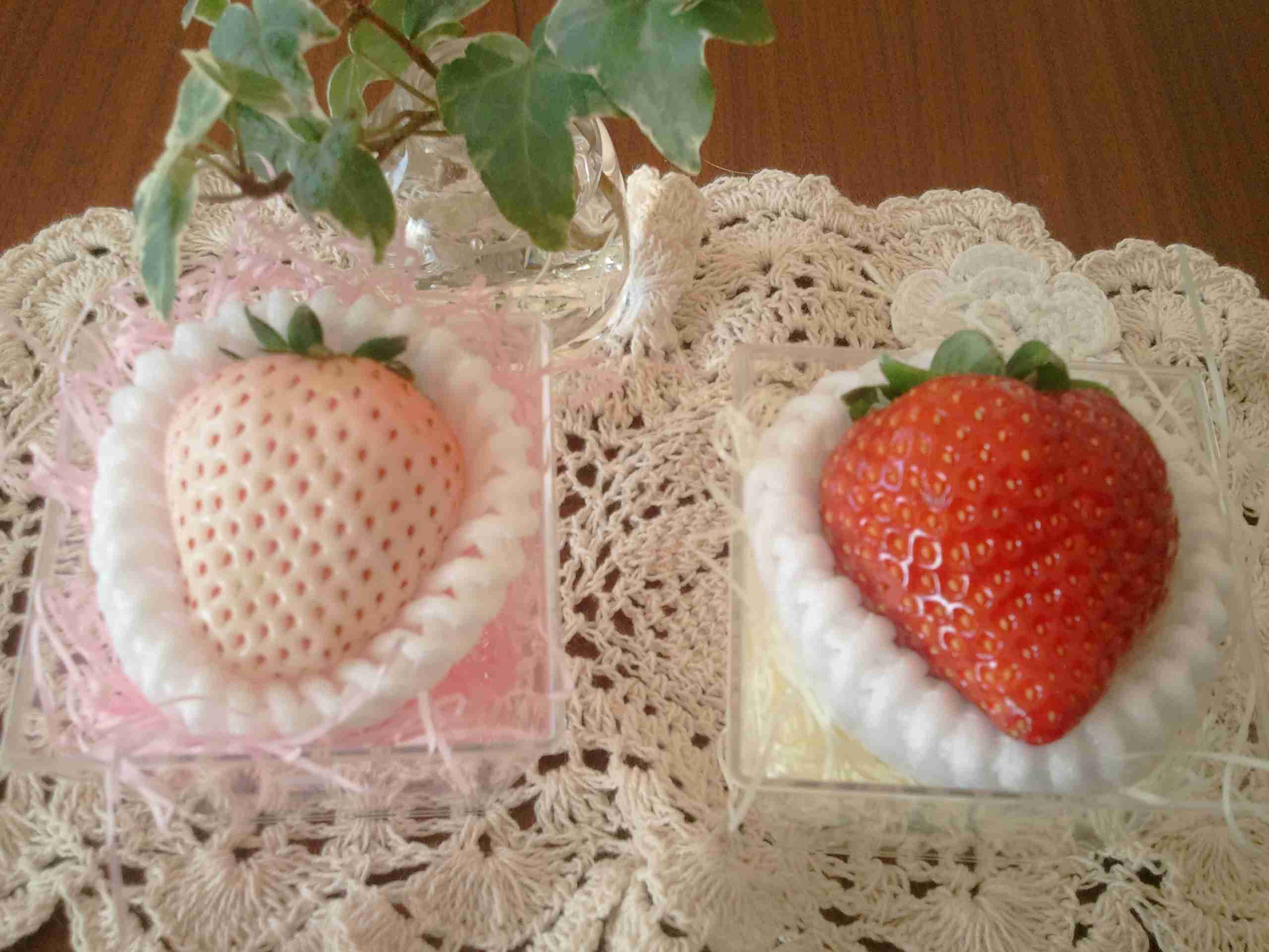 昔と比べて異性の見方変わりましたか?