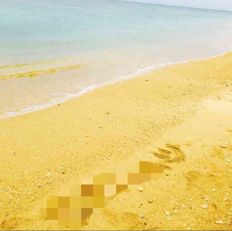 写真加工 なんのアプリ使ってますか？
