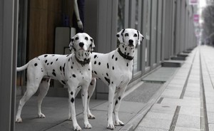 田舎あるある
