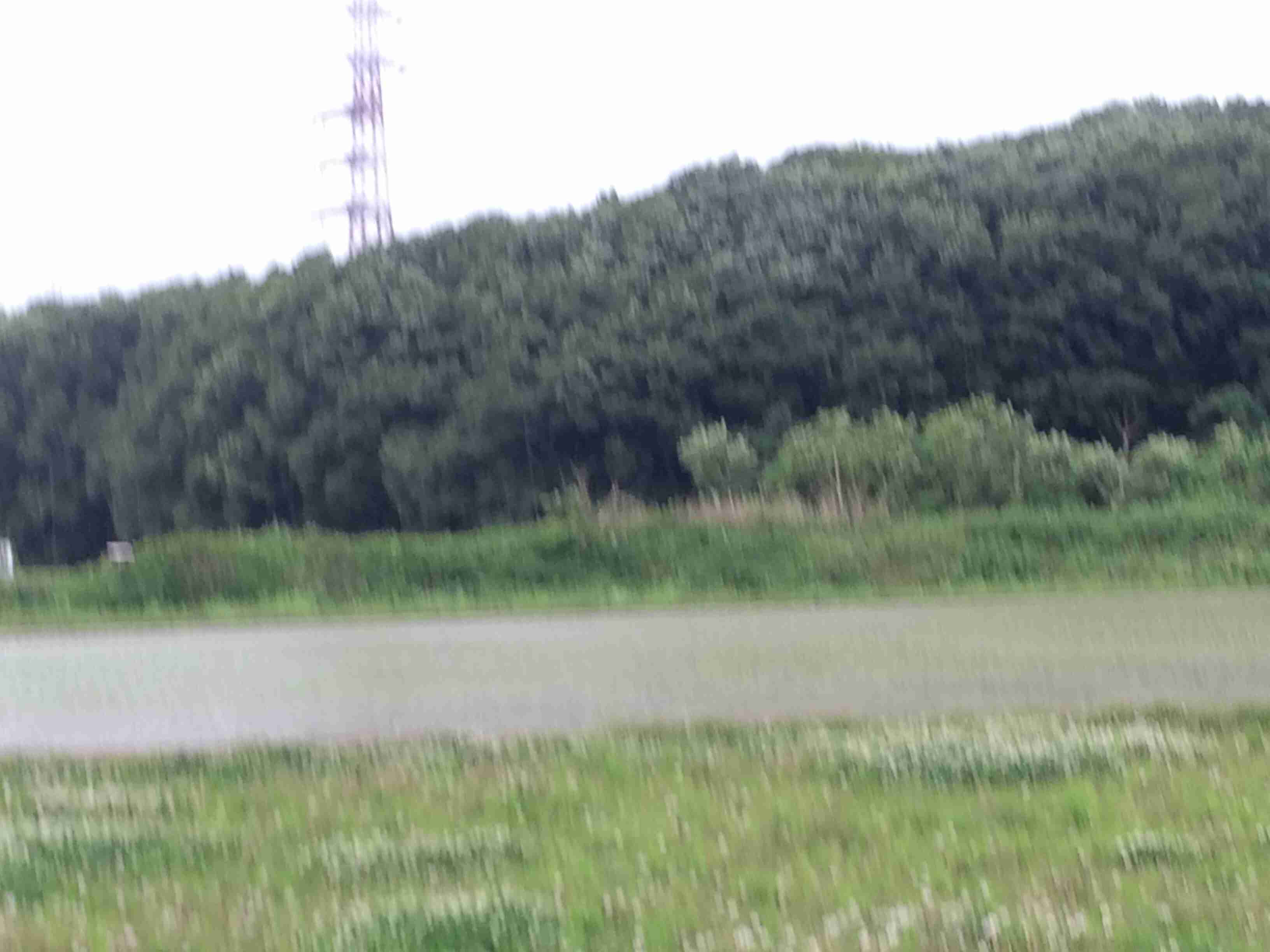 田舎あるある