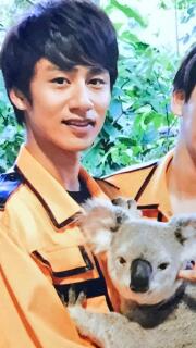 芸能人を動物に例えるトピ
