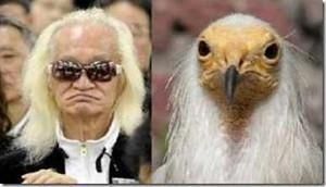芸能人を動物に例えるトピ