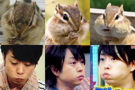 芸能人を動物に例えるトピ