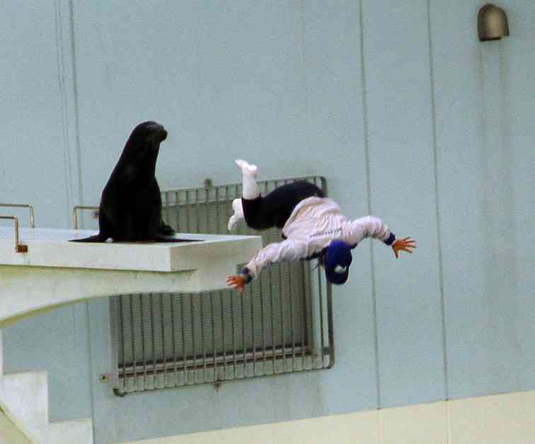 画像の動物になったつもりで何か言ってみるトピ
