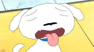 画像の動物になったつもりで何か言ってみるトピ