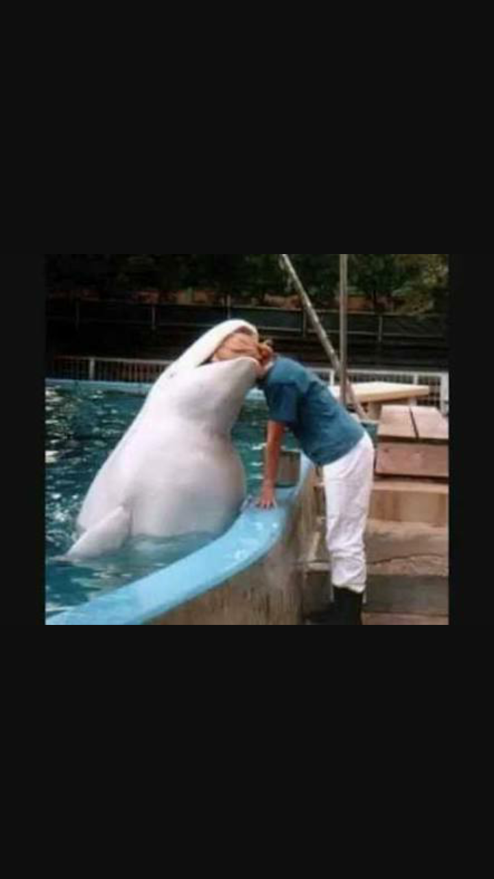 画像の動物になったつもりで何か言ってみるトピ