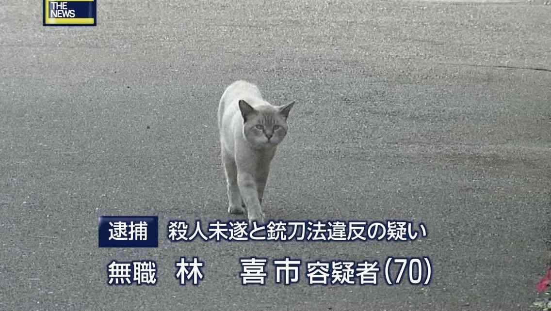 画像の動物になったつもりで何か言ってみるトピ