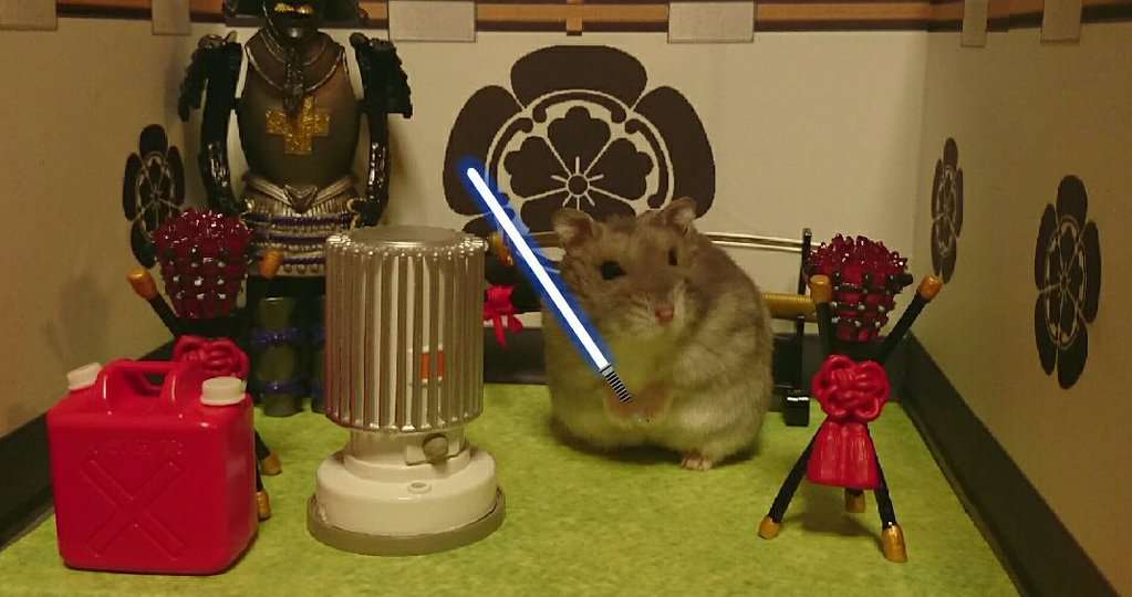 画像の動物になったつもりで何か言ってみるトピ