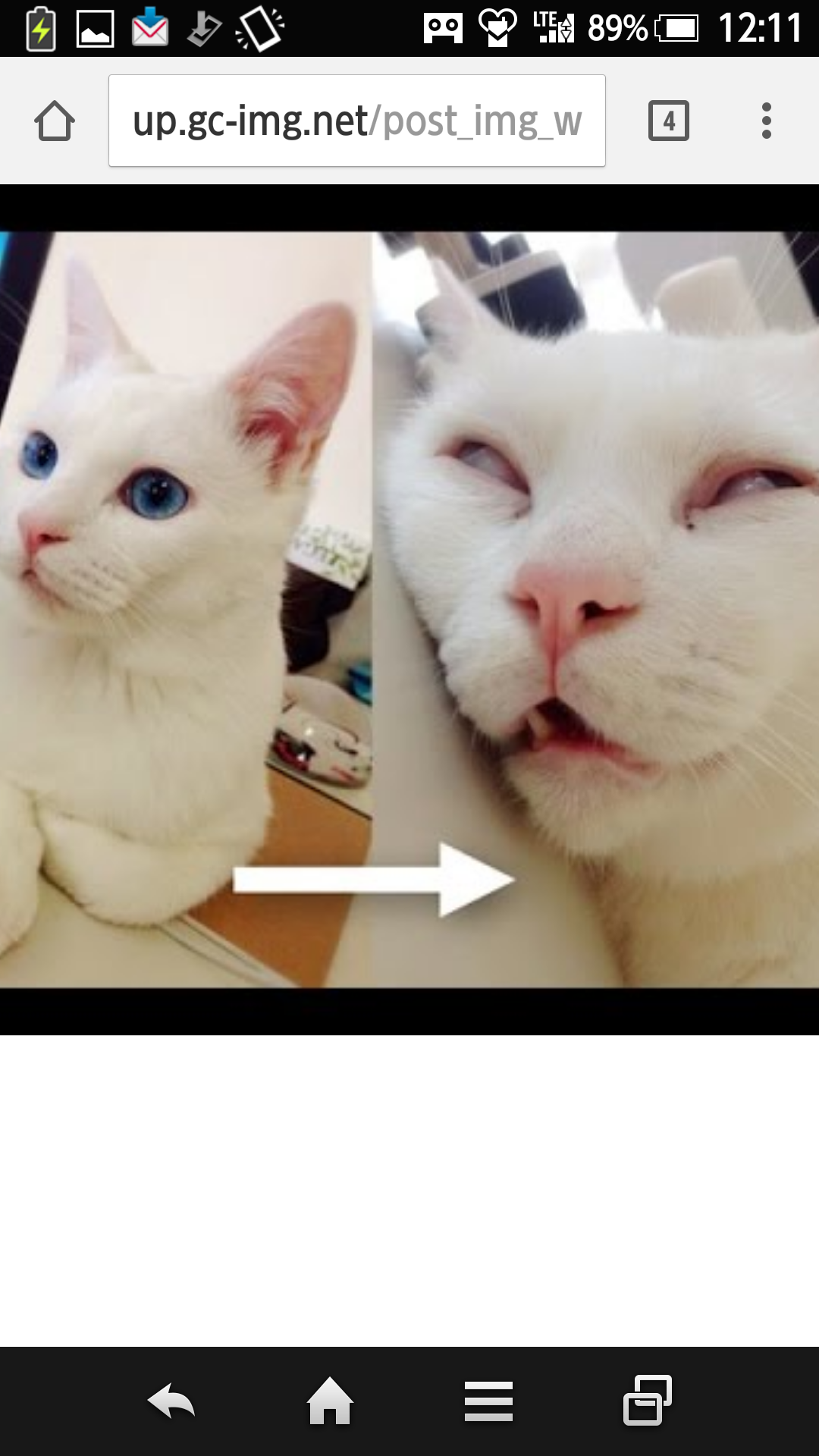 情けない顔の画像を貼るトピ