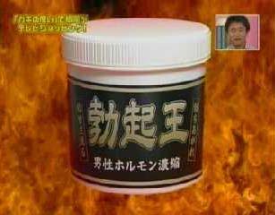 「ガキ使」で好きな企画