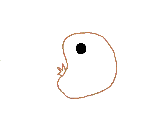 【絵が苦手な人限定】ためしに好きな動物を描いてみるトピ