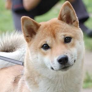 みんなでガールズちゃんねるを語ろう