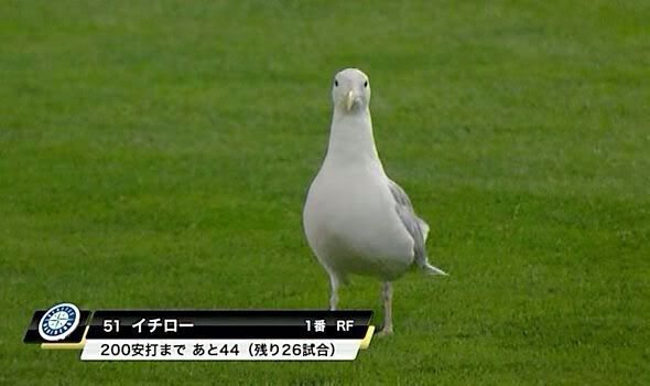 動物園が好きな方！