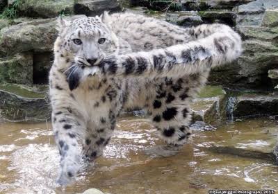 動物園が好きな方！