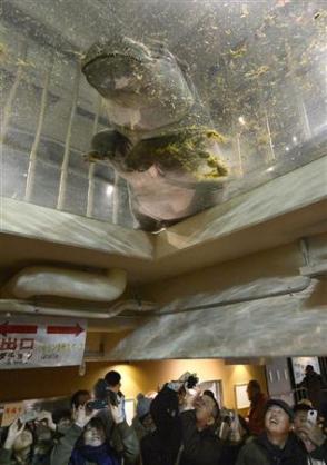 動物園が好きな方！