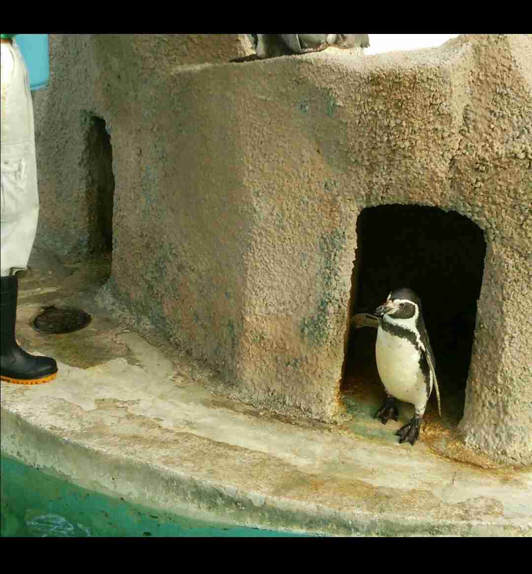 動物園が好きな方！