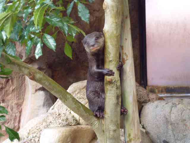 動物園が好きな方！
