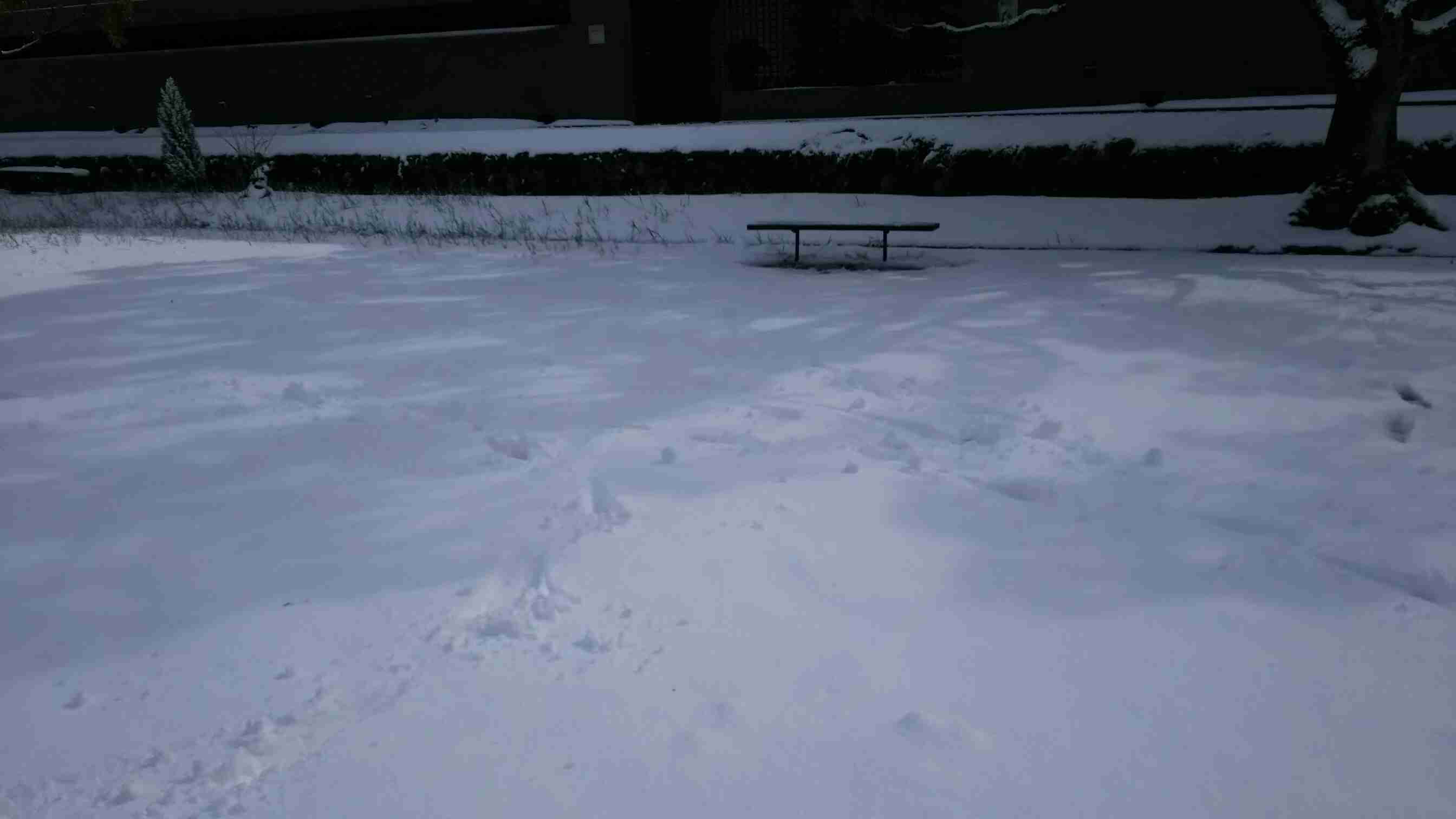 平和な人が集まるトピ