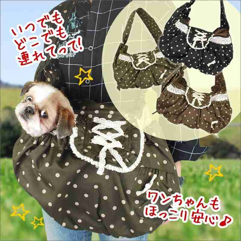 初詣に犬連れてくる人