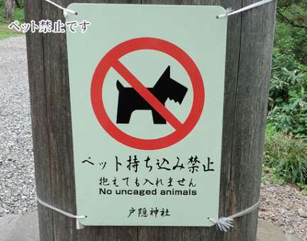 初詣に犬連れてくる人