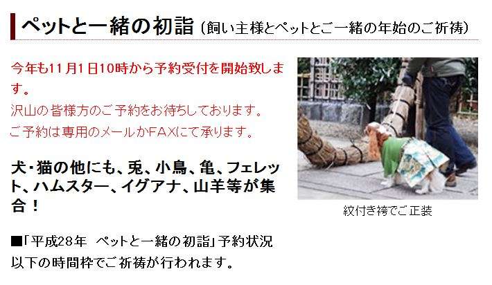 初詣に犬連れてくる人