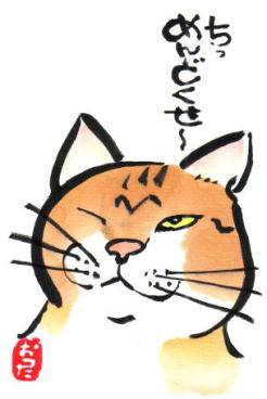 ガルちゃんの中でありそうな勘違い