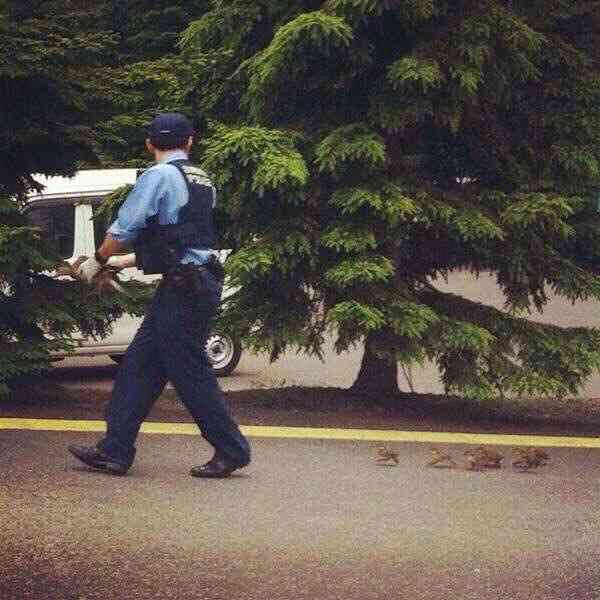 鳥の写真が集まるトピ