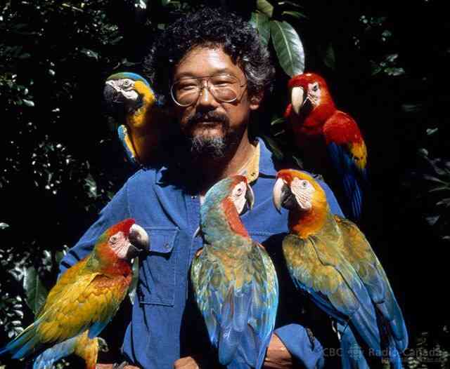 鳥の写真が集まるトピ