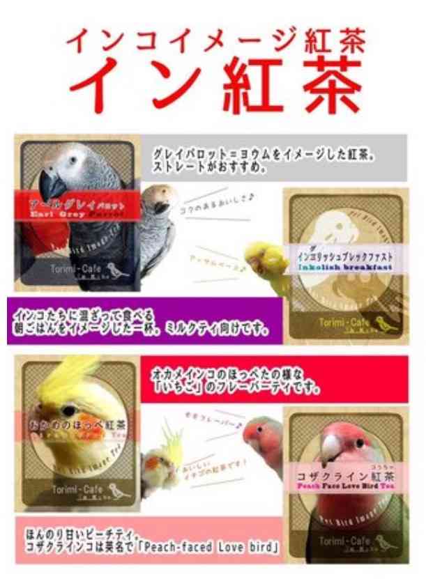 鳥の写真が集まるトピ