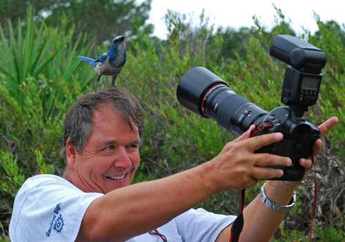 鳥の写真が集まるトピ