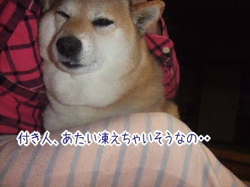 寒いとぼっちが身にしみるから、温め合うトピ！
