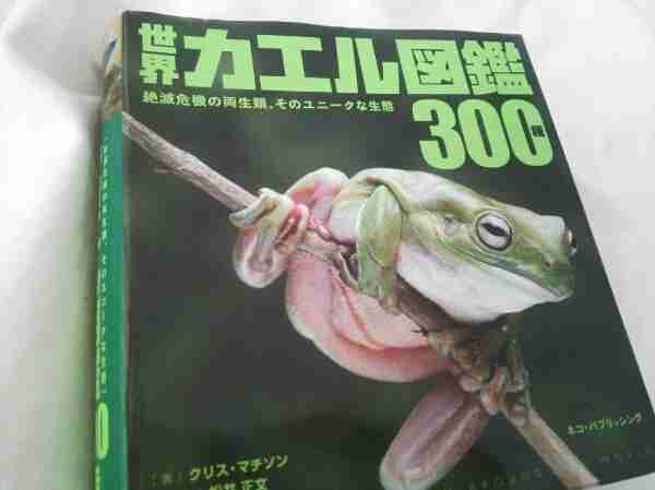 ちょっと変わった本を読んだ人