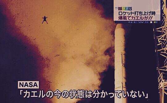 おかしい画像を貼っていくトピ