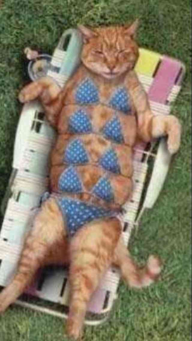 おかしい画像を貼っていくトピ