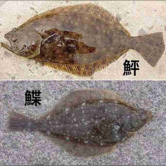 顔の余白があまってる人