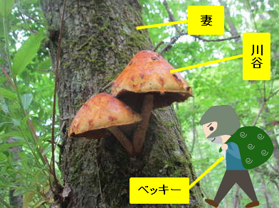 ゲスの極み乙女・川谷絵音、MステSPで計10秒深々とお辞儀…不倫騒動には言及せず