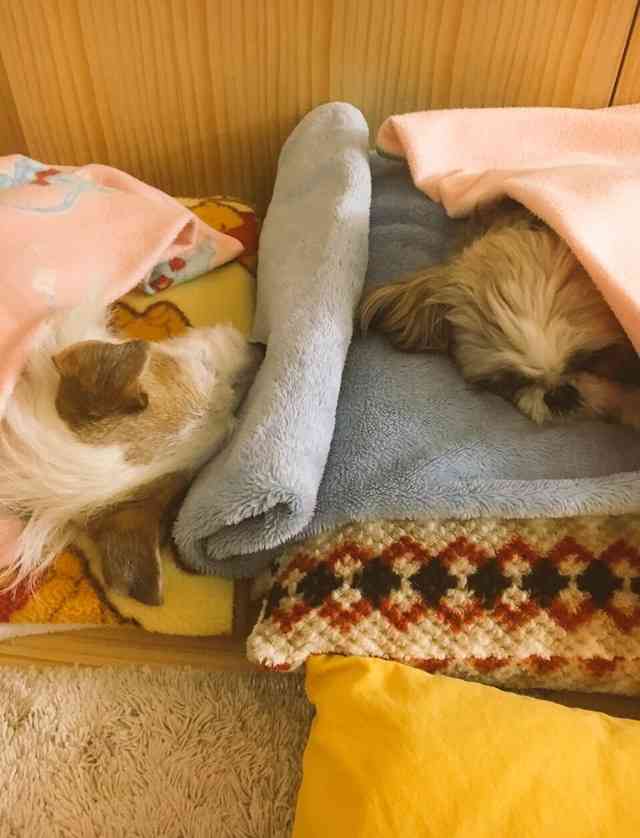 自分なりの健康法