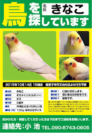 自分なりの健康法