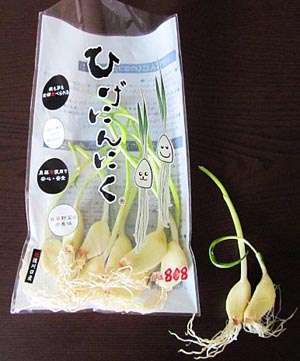 ニンニク好きな人