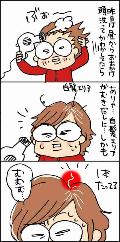 白髪を染める頻度