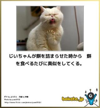 お餅による窒息事故が多くなる日本の正月 海外では「サイレントキラー」と紹介