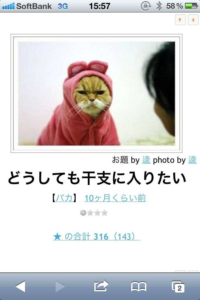 色々なニセモノを貼るトピ