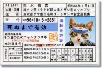 1980年代生まれの人が幼少期や10代の時に好きだった物を懐かしむトピ